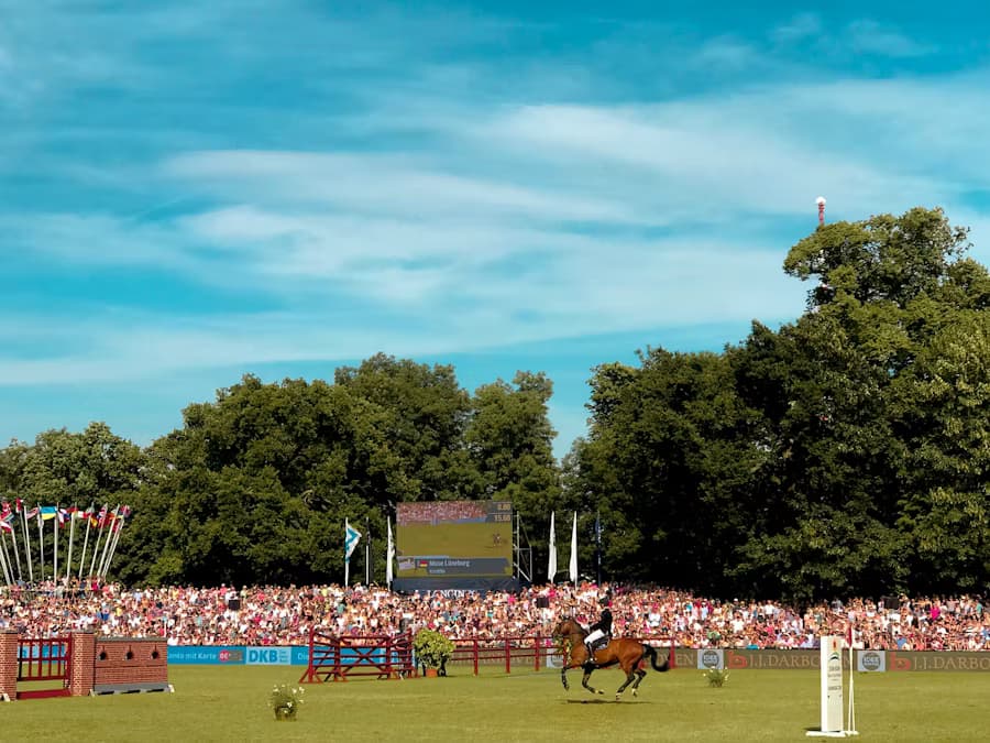 Trip Handicapping in Horse Racing: How to Spot Hidden Trouble — horse racing betting guide by StrideOdds