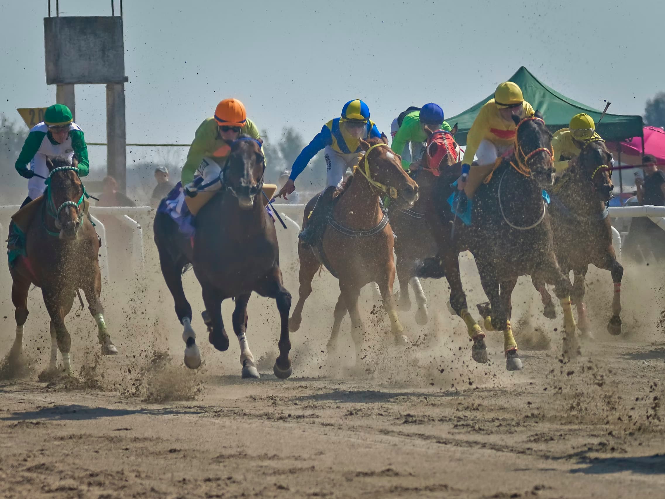 Turf vs Dirt in Horse Racing: How Surface Switches Impact Betting — horse racing betting guide by StrideOdds