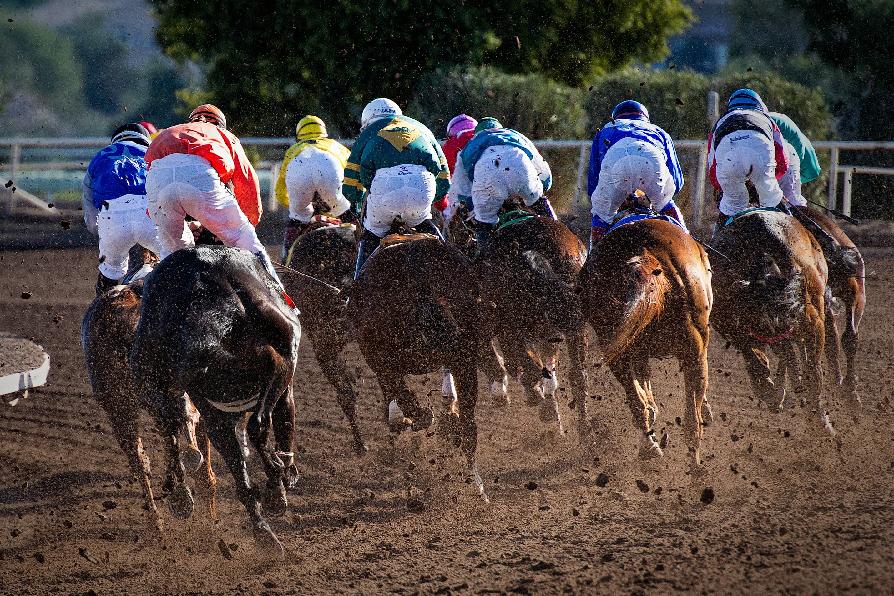 Distance Changes in Horse Racing: How to Bet Route-to-Sprint Shifts — horse racing betting guide by StrideOdds